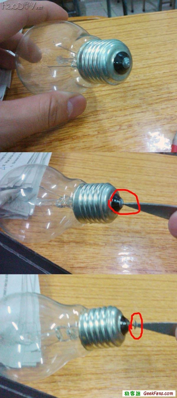 自制灯泡植物:一灯一世界