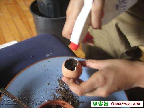 制作制作蛋壳微盆景