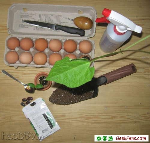 制作制作蛋壳微盆景