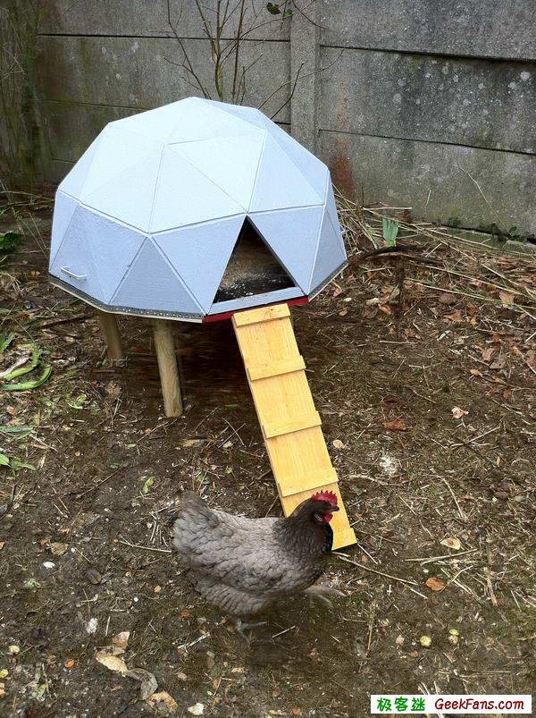 制作给鸡做的个性小屋鸡笼鸡舍