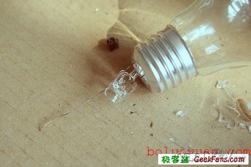 自制废物再利用:白炽灯泡内种小草花瓶