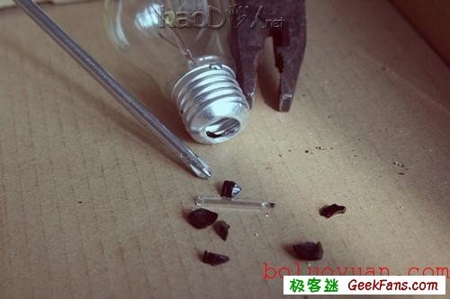 自制废物再利用:白炽灯泡内种小草花瓶