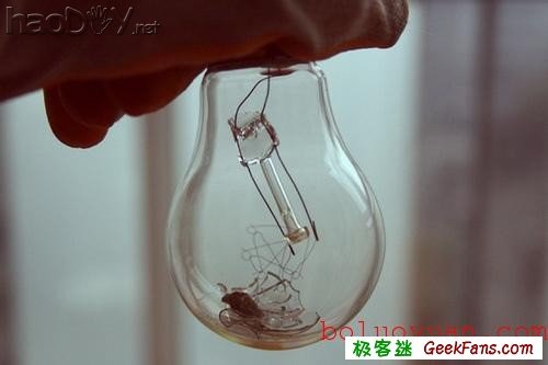 自制废物再利用:白炽灯泡内种小草花瓶