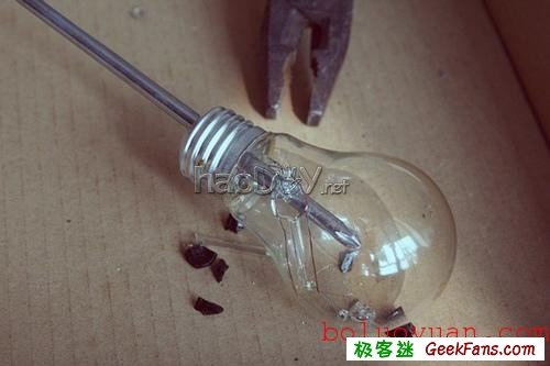 自制废物再利用:白炽灯泡内种小草花瓶