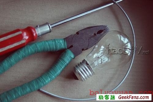 自制废物再利用:白炽灯泡内种小草花瓶