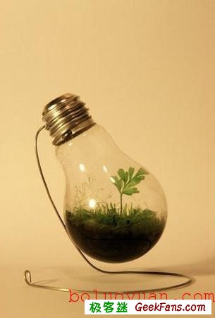 自制废物再利用:白炽灯泡内种小草花瓶