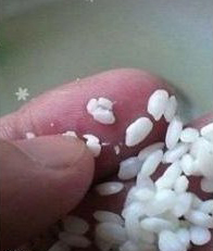 自制超甜米酒的制作方法