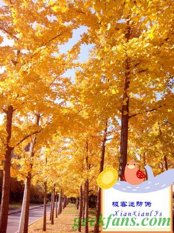 自制自制捕鱼利器