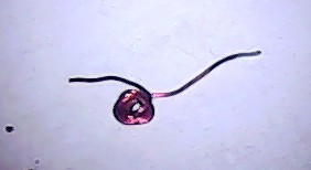 制作手把手教你做四轴旋翼机!