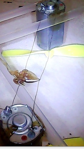 制作手把手教你做四轴旋翼机!