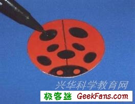 自制趣味儿童玩具:拉绳爬行“七星瓢虫”