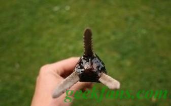 自制户外捕鱼:鱼叉的制作方法