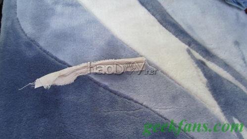 自制教你在户外利用植物取水