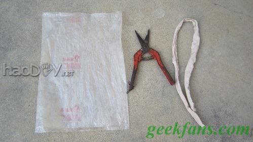 自制教你在户外利用植物取水