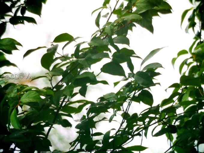 04.jpg 新手第一次DIY制作153F750球面牛顿反射天文望远镜