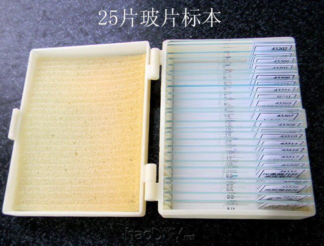 自己动手制作显微镜观测标本片