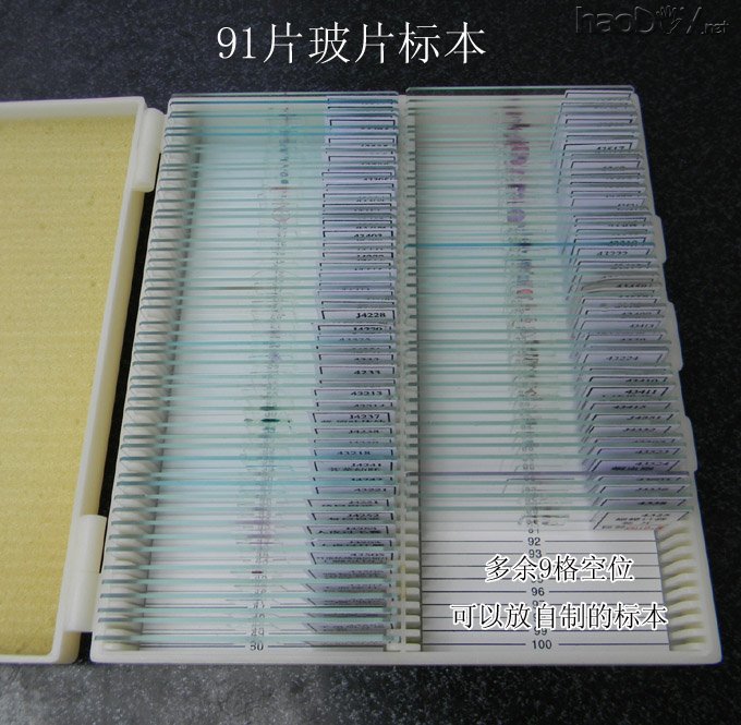 自己动手制作显微镜观测标本片