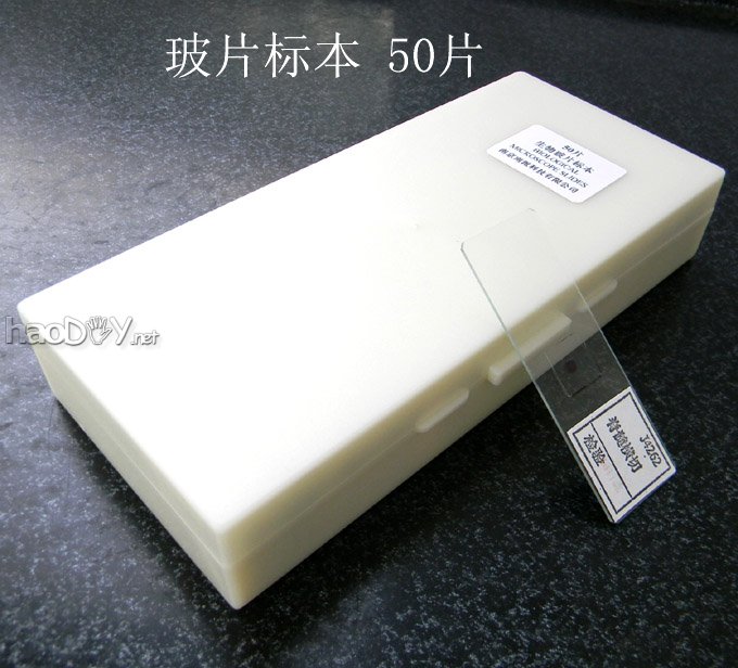 自己动手制作显微镜观测标本片