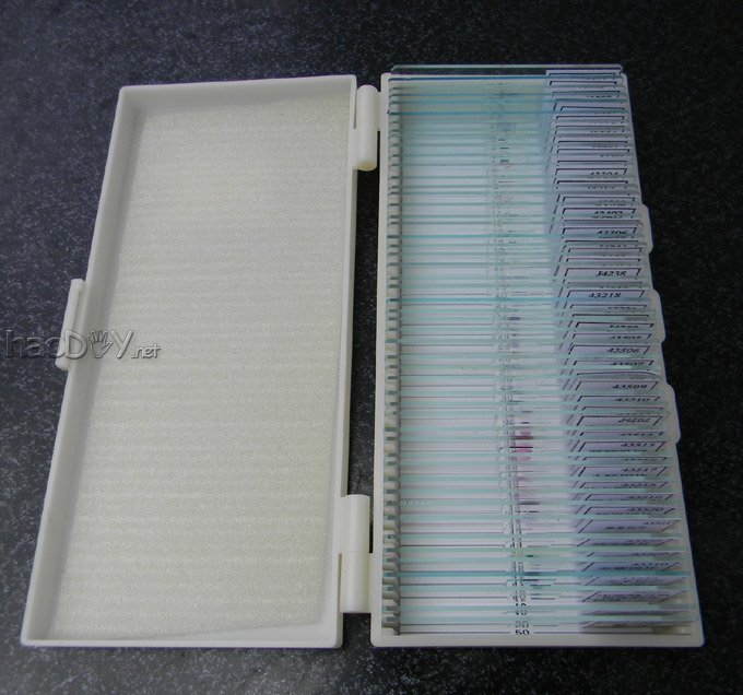 自己动手制作显微镜观测标本片