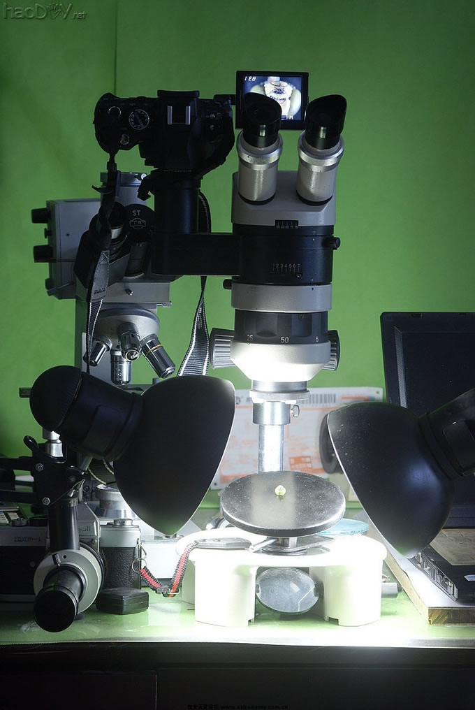 拍摄现场.jpg 体视显微镜下蜻蜓的图片