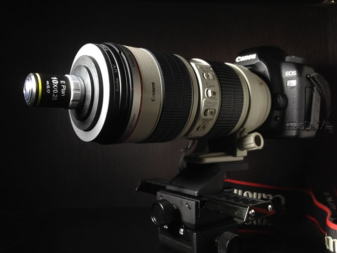 IMG_2309s.jpg 我的新大炮,1:10超微距摄影装备