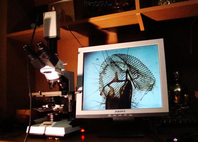 接显示器DSC06830.jpg 初试显微摄影(国产三目显微镜 + 单反)