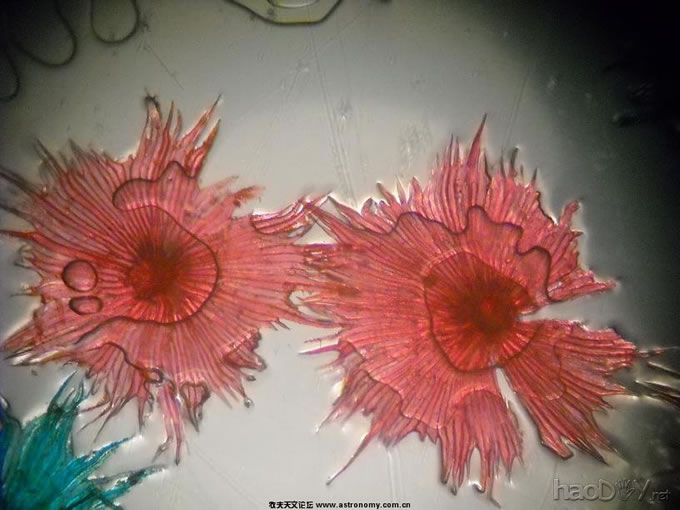 DSCN0701.jpg 今天又折腾了一个显微光源的灯