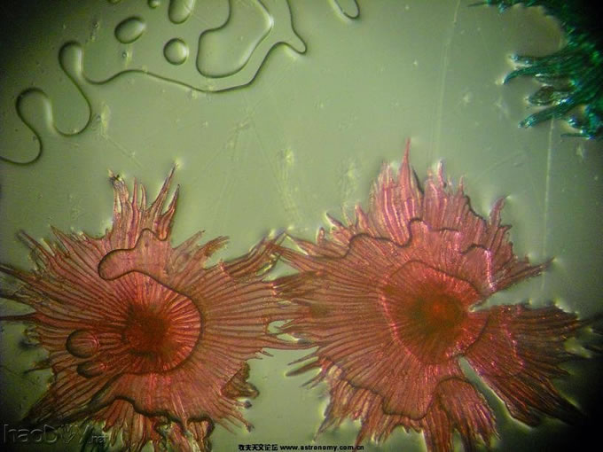 110117224023dcf4431ae9a433.jpg 今天又折腾了一个显微光源的灯