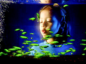 制作最火爆的16项新奇发明