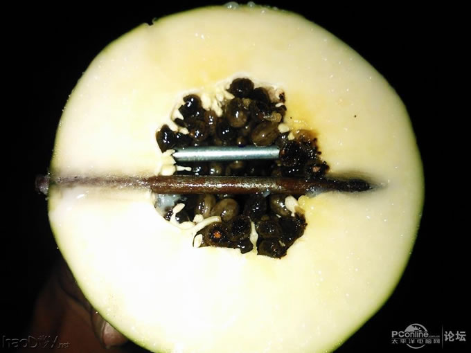 点击查看原图 自制电磁炮射木瓜实验!(二代炮哥)