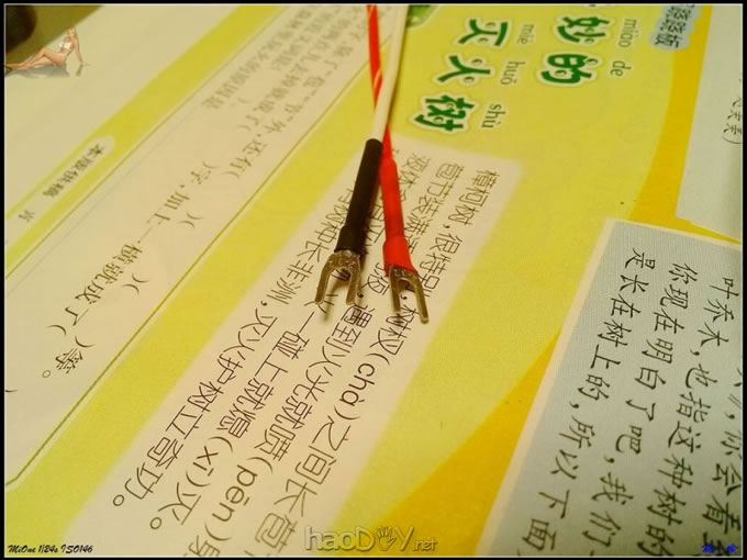 心是国都quad 606心功放,壳是Diyer