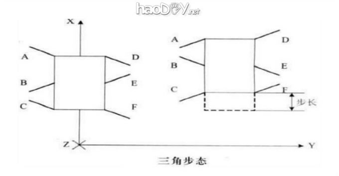 认识六足机器人及多足机器人