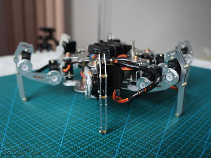 Ò²×°¸ö×î½ü±È½ÏÁ÷ÐеÄÁù×ã»úÆ÷ÈË