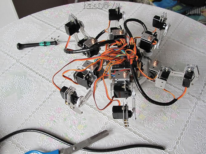 Ò²×°¸ö×î½ü±È½ÏÁ÷ÐеÄÁù×ã»úÆ÷ÈË