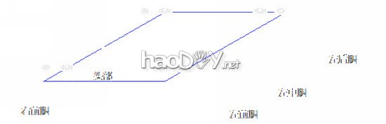 仿生昆虫机器人-《无线电》2011年第10期