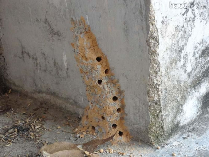 点击检查原图 节能环保无处不在,自制太阳能充电包包