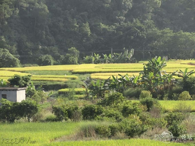 点击检查原图 节能环保无处不在,自制太阳能充电包包