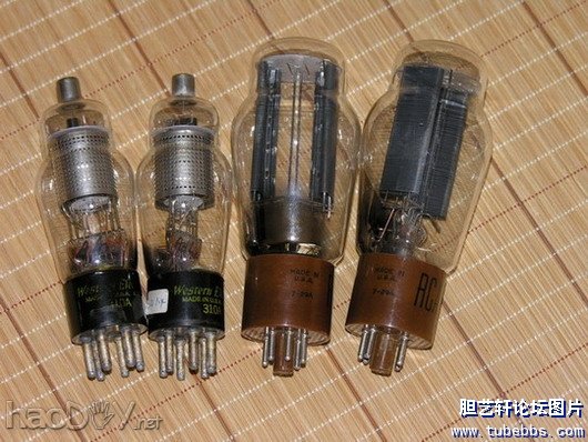 重装西电WE300B分体单端!