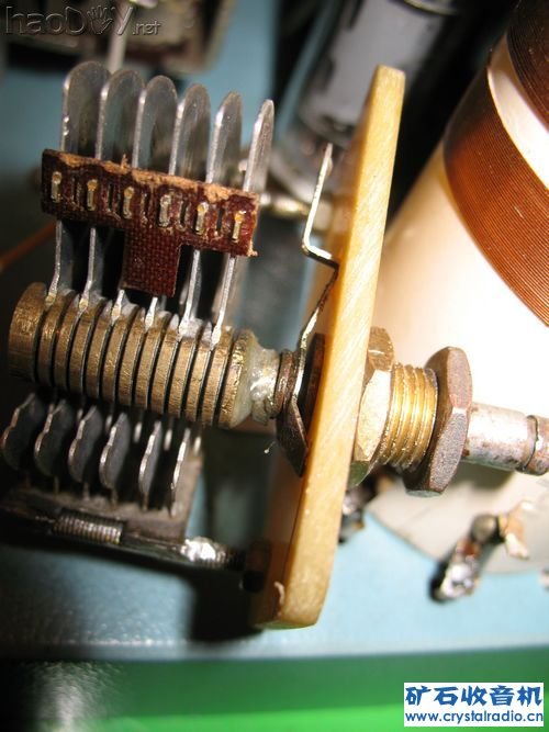 IMG_3880333333.jpg IMG_3880333333.jpg