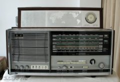 维修笔记 兼机器评论 :牡丹2241