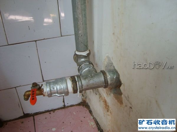 S6001681.JPG S6001681.JPG