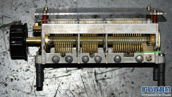 DSC09773.jpg DSC09773.jpg