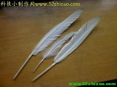 复原古代欧洲羽毛笔 复原古代欧洲羽毛笔制作