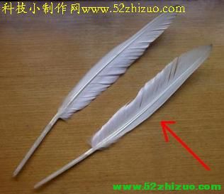 复原古代欧洲羽毛笔 复原古代欧洲羽毛笔制作