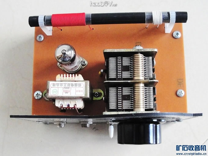 仰视1.JPG 仰视1.JPG