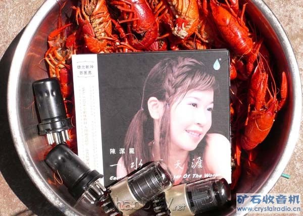 P10301680.jpg KT88/EL34/FU-50J/FU-7/6P3P电子管功率管对声音的表现