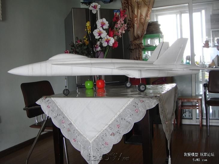 DSC03357.JPG 为模友定做的超大F18战斗机