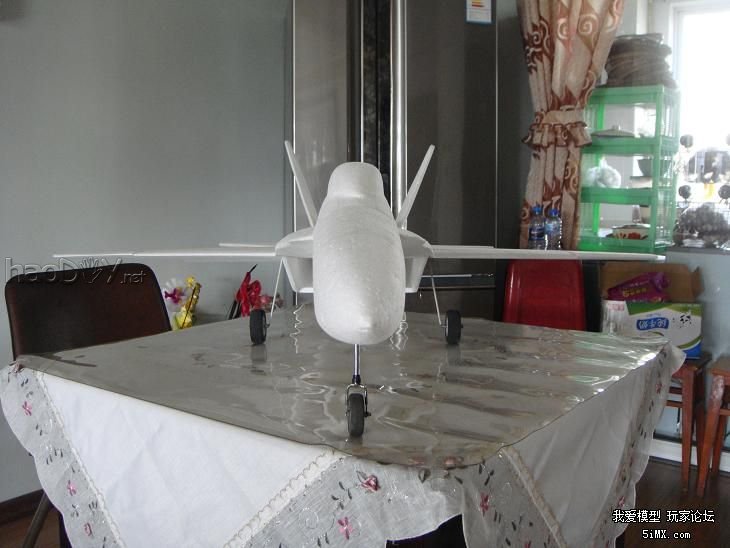 DSC03358.JPG 为模友定做的超大F18战斗机