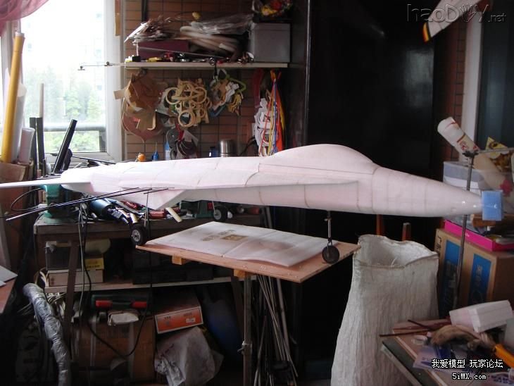 DSC03350.JPG 为模友定做的超大F18战斗机