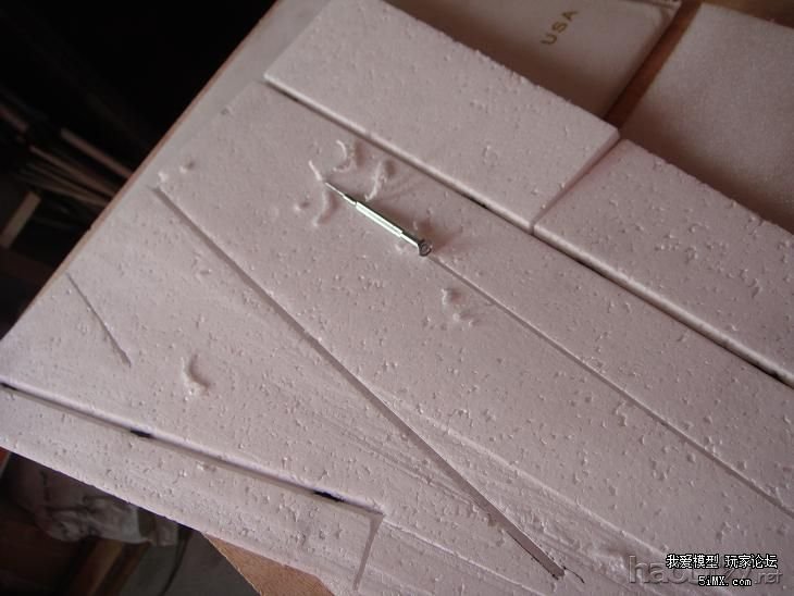 DSC03347.JPG 为模友定做的超大F18战斗机